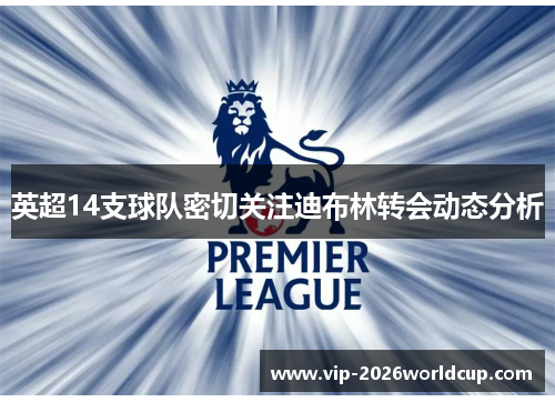 英超14支球队密切关注迪布林转会动态分析